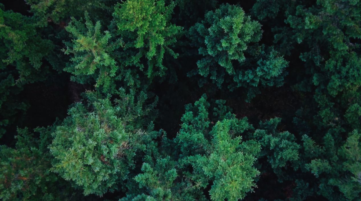 Still 2026 01 09 132756 5.1.4 Kopi