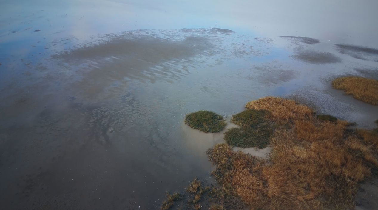 Still 2026 01 09 132756 5.1.1 Kopi