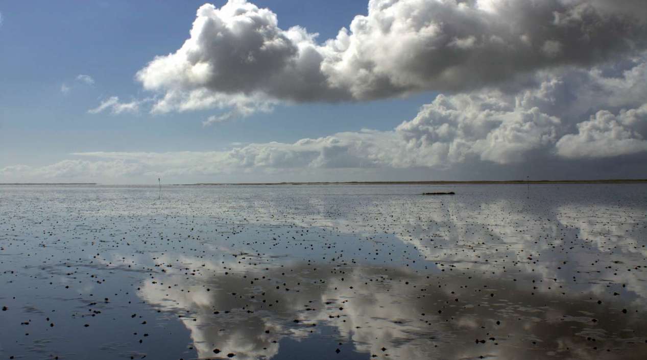 Nationalpark Vadehavet