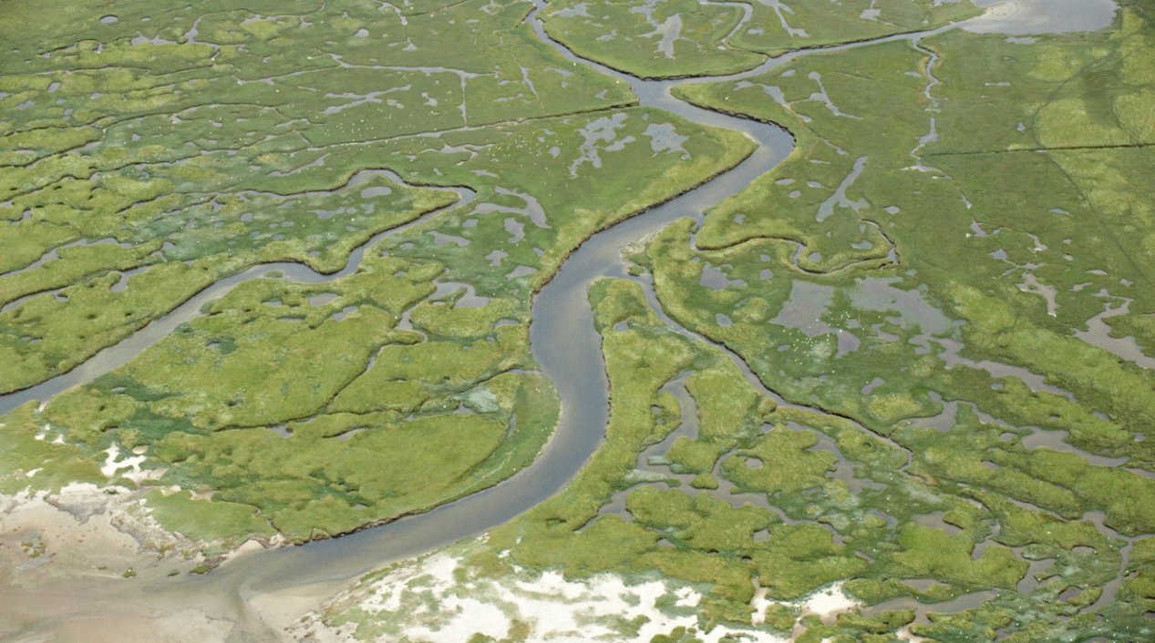 Mandoe Lars Gejl Nationalpark Vadehavet